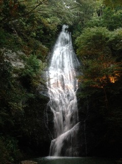 IMG_2427.jpg