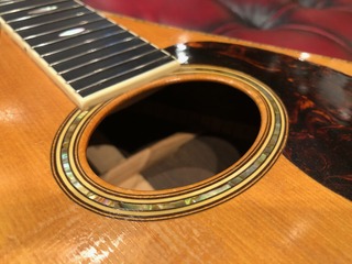 IMG_9550.jpeg