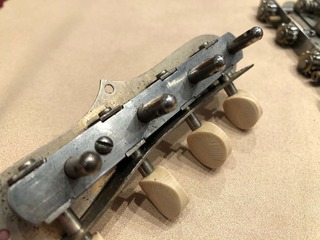 IMG_9555.jpeg