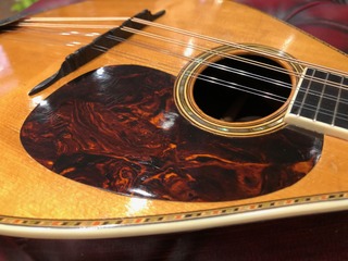 IMG_9563.jpeg