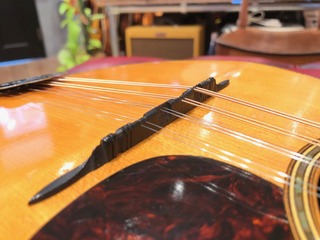 IMG_9564.jpeg